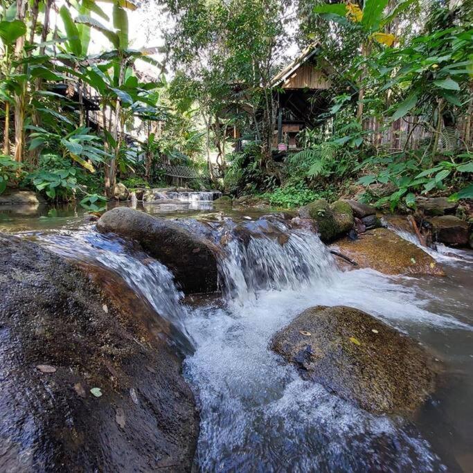 Wilderness Treehouse Villa Doi Saket Exterior foto