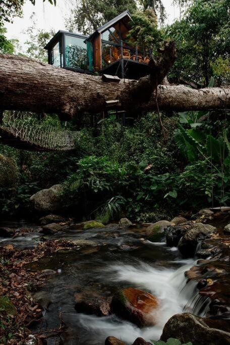 Wilderness Treehouse Villa Doi Saket Exterior foto